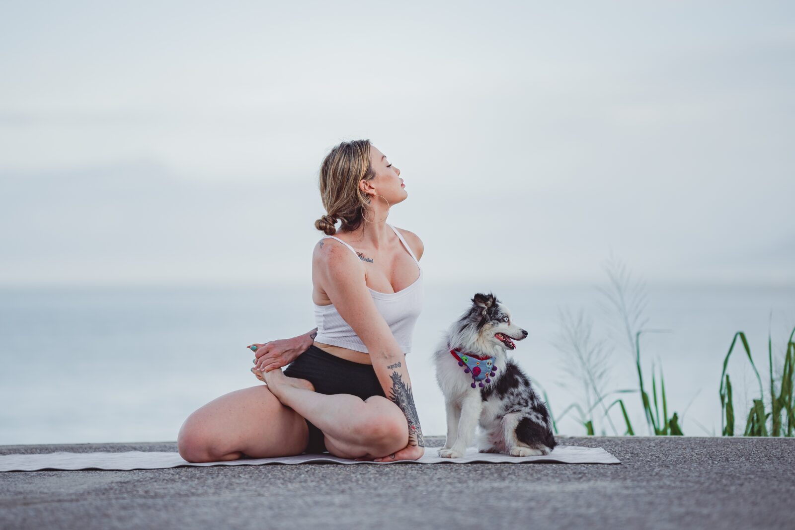 Why Your Dog Always Wants to Practice Yoga With You