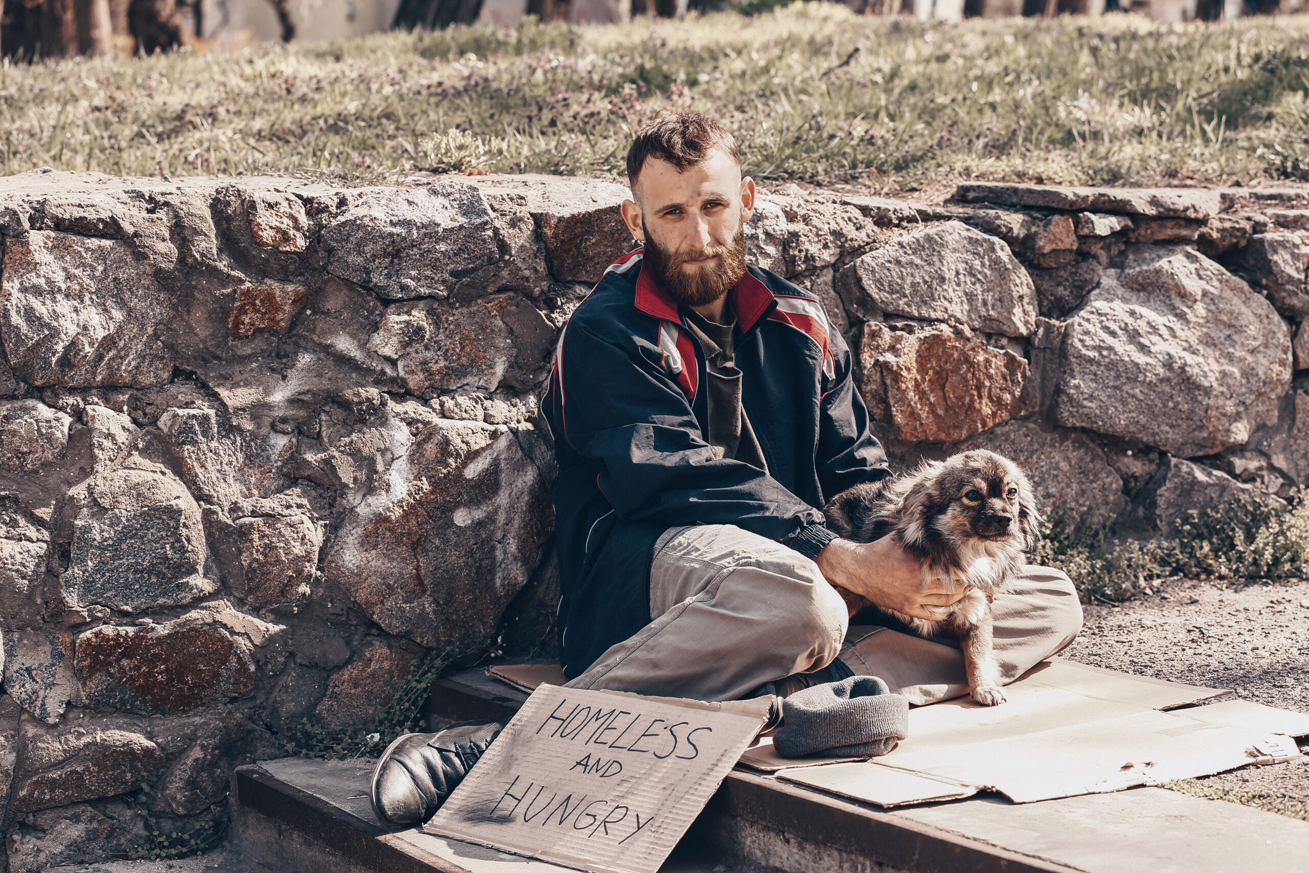 should homeless have dogs